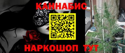 индика Нягань