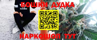 индика Нягань