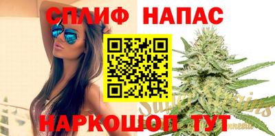 стаф Обь
