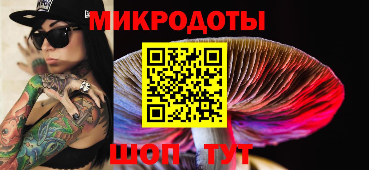 Галлюциногенные грибы Psilocybine cubensis Петрозаводск